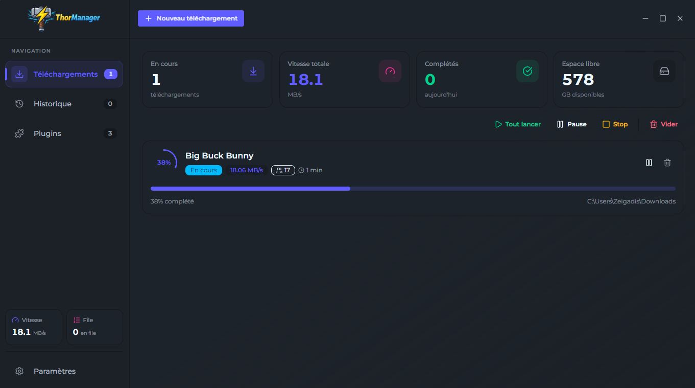 Interface de ThorManager